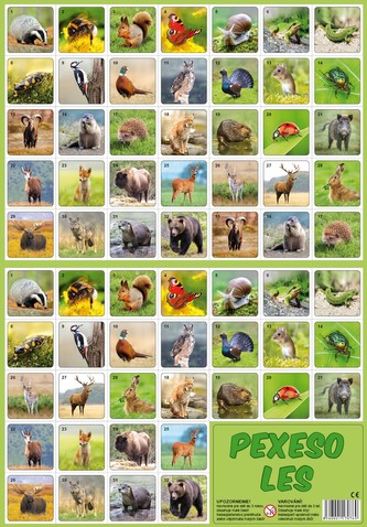 Pexeso Les papírové společenská hra 32 obrázkových dvojic 24,5x34,5cm