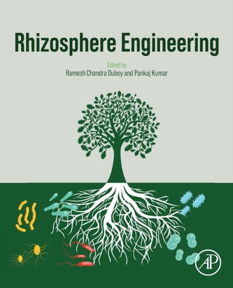 Rhizosphere Engineering