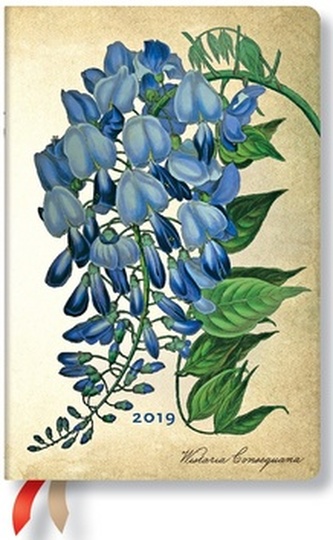 Diář Blooming Visteria 2019 HOR