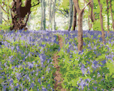 Malování podle čísel - KVĚTINY A STROMY, IRSKO (TED DAVIS) - 40x50 cm, vypnuté plátno na rám