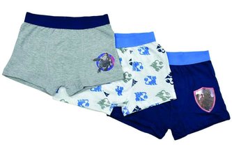 SADA 3 KS BOXERKY JAK VYCVIČIT DRAKA  - velikost 9-10