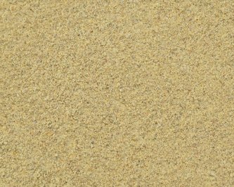 Pískavice mletá 50 g