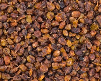 Ovocný čaj Rakytník plod - 100 g