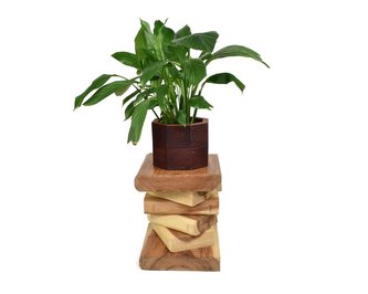 Dřevěný podstavec pod rostliny Natural Books 40 cm
