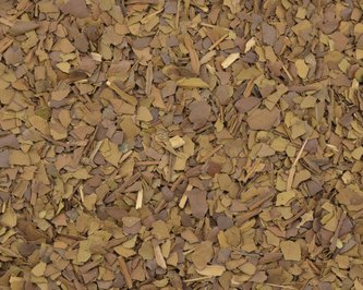 Maté Pampero (pražené) - 250 g