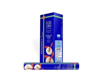 Indické vonné tyčinky Darshan Mince Štěstí 20 ks