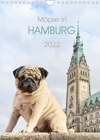 Möpse in Hamburg (Wandkalender 2022 DIN A4 hoch)