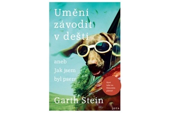 Umění závodit v dešti Umění závodit v dešti