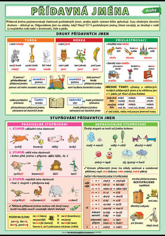 Přídavná jména - druhy XL
