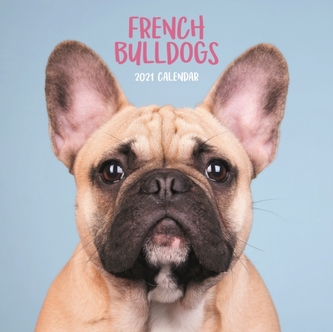 French Bulldogs Mini Square Wall Calendar 2021