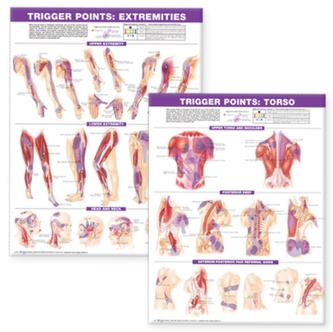 Trigger Point Chart Set: Torso & Extremities Paper Trigger Point Chart Set: Torso & Extremities Paper