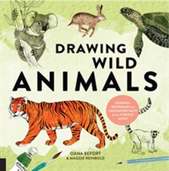 Drawing Wild Animals Drawing Wild Animals