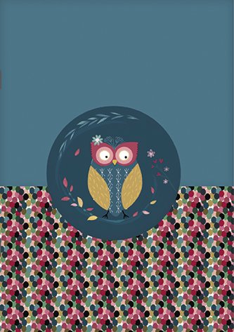 SEŠIT A5 CARA538L03 SOVY - CHOUETTES KIUB