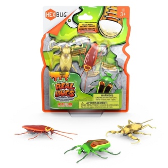 HEXBUG Real Bugs - 3 Pack