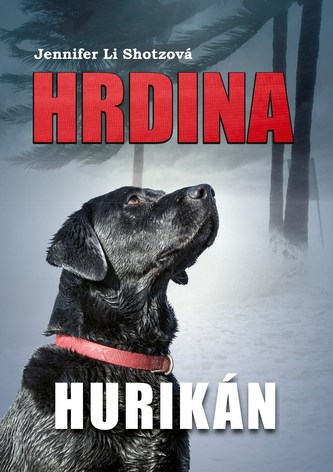 Hrdina : Hurikán (Jennifer Li Shotz, 2018)
