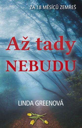 Až tady nebudu (Linda Green, 2018)