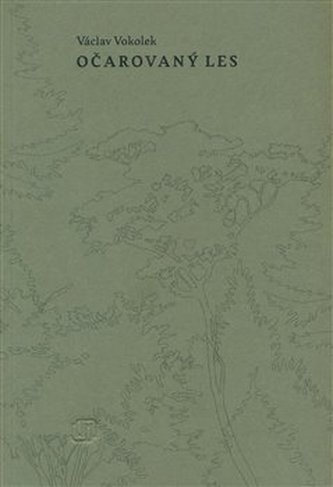 Očarovaný les