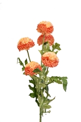 Tagetes 67 cm, oranžový