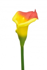 Umělá kala červeno-žlutá, 63 cm