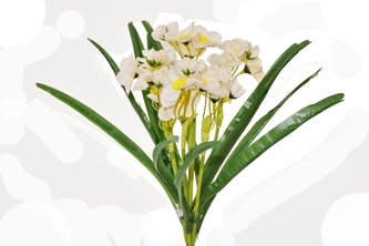 Kytička narcisů 35 cm, krémová