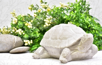 Betonová želva Leonardo L