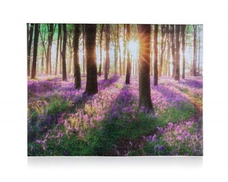 HOME DECOR Obraz FOREST 40 x 30 x 2 cm