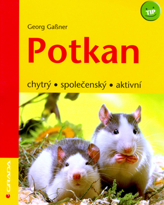 Potkan : chytrý, společenský, aktivní (Georg Gaßner, 2006)