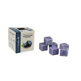 Vonný vosk LESNÍ BORŮVKA TG MRE-8507