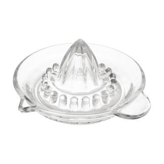 Lis na citrusy Lis na citrusy