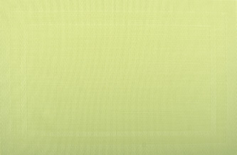 Prostírání PAD zelená 28x43 cm Mybesthome