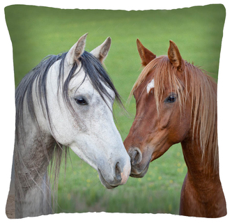 Polštář s motivem koně 33 Mybesthome 40x40 cm