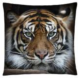 Polštář ANIMAL 35 - TYGR Mybesthome 40x40 cm