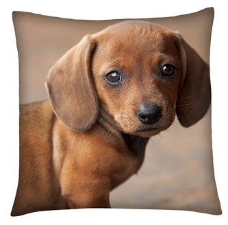 Polštář s motivem psa 05  Mybesthome 40x40 cm