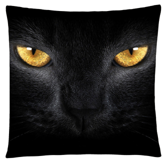 Polštář s motivem kočky 50 Mybesthome 40x40 cm