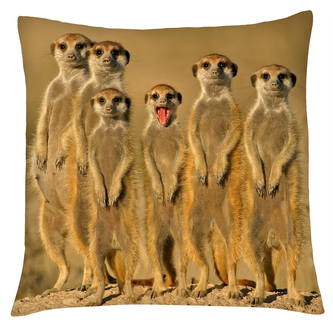 Polštář ANIMAL 18 - SURIKATY Mybesthome 40x40 cm