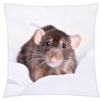 Polštář ANIMAL 23 - POTKAN Mybesthome 40x40 cm