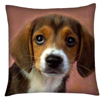 Polštář s motivem psa 06 Mybesthome 40x40 cm