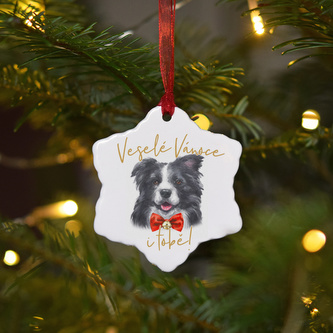 Keramická ozdoba - Border kolie