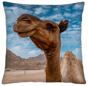 Polštář animal 67 VELBLOUD Mybesthome 40x40 cm