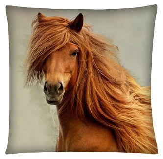 Polštář s motivem koně 19 Mybesthome 40x40 cm