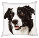 Polštář s motivem psa 03 Mybesthome 40x40 cm