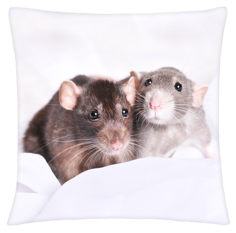Polštář ANIMAL 24 - POTKAN Mybesthome 40x40 cm