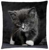 Polštář s motivem kočky 31 Mybesthome 40x40 cm