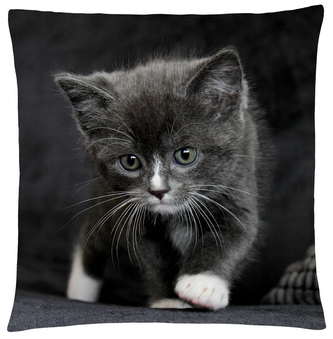 Polštář s motivem kočky 31 Mybesthome 40x40 cm