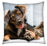 Polštář s motivem psa 11 Mybesthome 40x40 cm