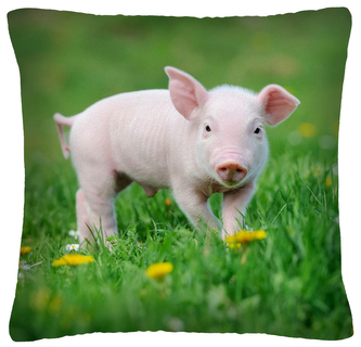 Polštář animal 04 - PRASÁTKO Mybesthome 40x40 cm