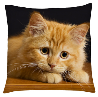 Polštář s motivem kočky 05 Mybesthome 40x40 cm