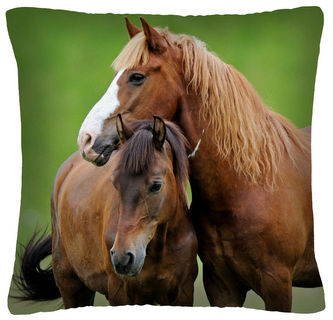 Polštář s motivem koně 28 Mybesthome 40x40 cm