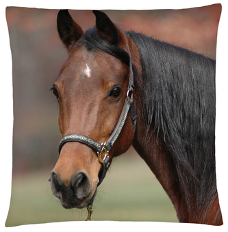 Polštář s motivem koně 24  Mybesthome 40x40 cm