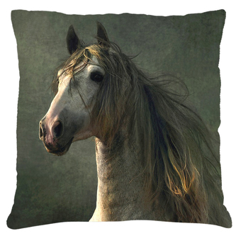 Polštář s motivem koně 22  Mybesthome 40x40 cm